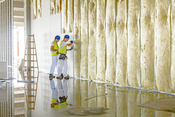 Best Vapor Barrier Installation  in Bee Ridge, FL